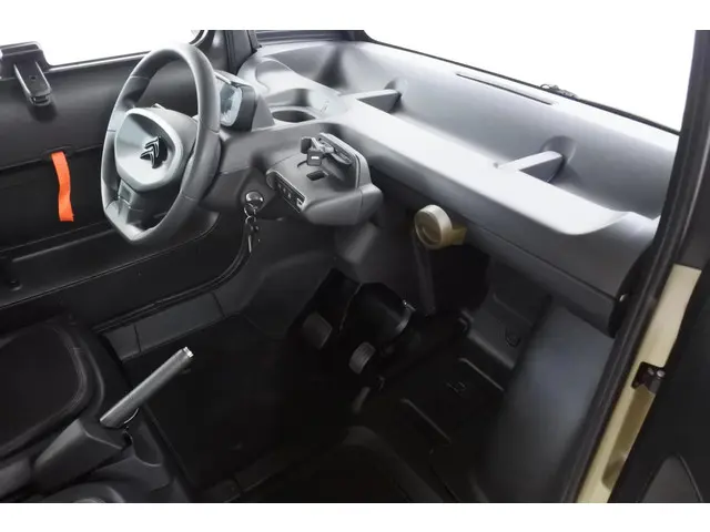 Citroën Ami MY AMI VDA! 2021 Elektrisch 17