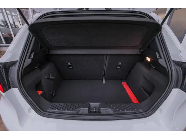 Ford Fiesta 1.0 EcoBoost|Pano|Cruise|ST-Line 2017 Benzine 12