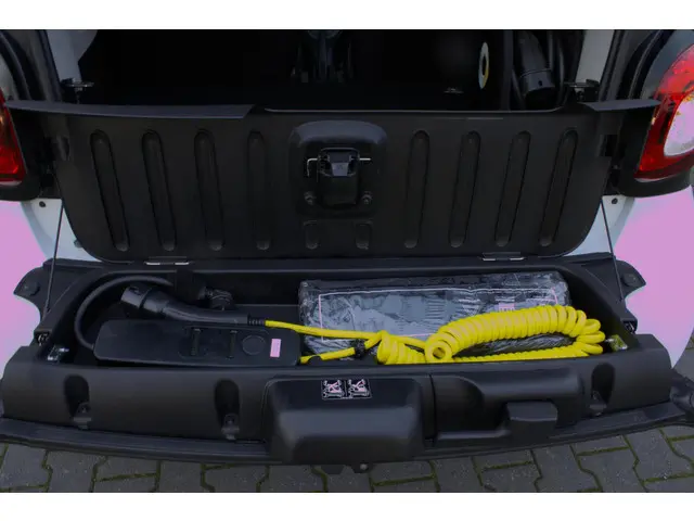 Smart Fortwo EQ Comfort PLUS 18 kWh 2019 Elektrisch 15