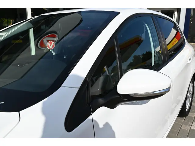 Peugeot 208 1.2 PureTech Blue Lion 2018 Benzine 29