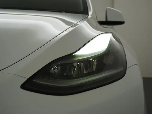 Tesla Model Y Performance AWD 75 kWh 2022 Elektrisch 14