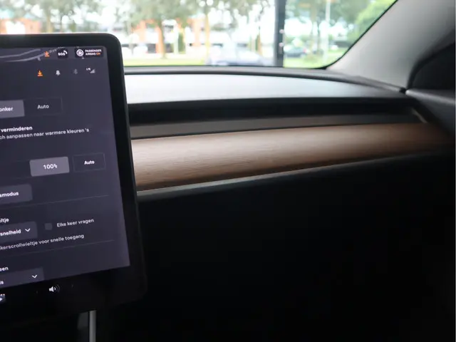 Tesla Model 3 Standard RWD Plus 60 kWh 2020 Elektrisch 41