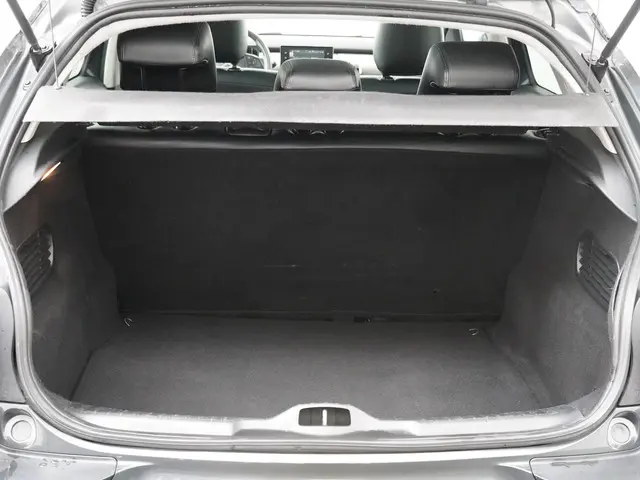 Citroën C4 Cactus 1.2 PureTech Shine 2016 Benzine 9