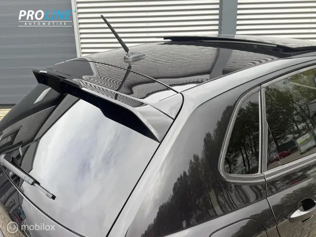 Volkswagen Polo 2.0 TSI GTI PANO 2018 Benzine 32