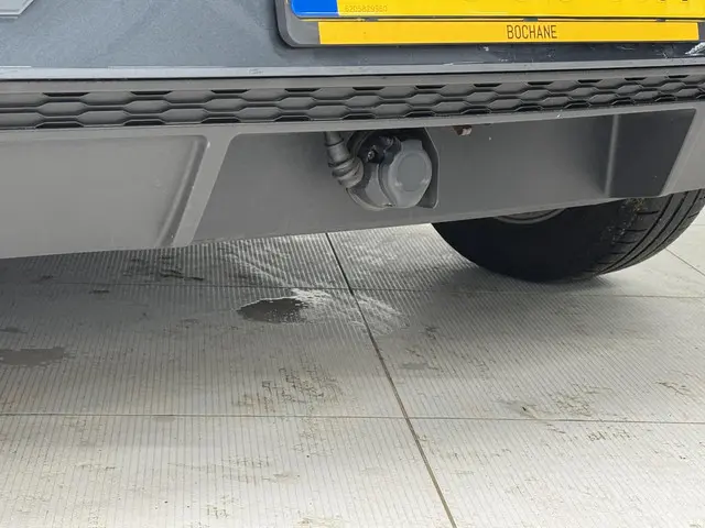 SEAT Ibiza 1.0 TSI Flex 2021 Benzine 10