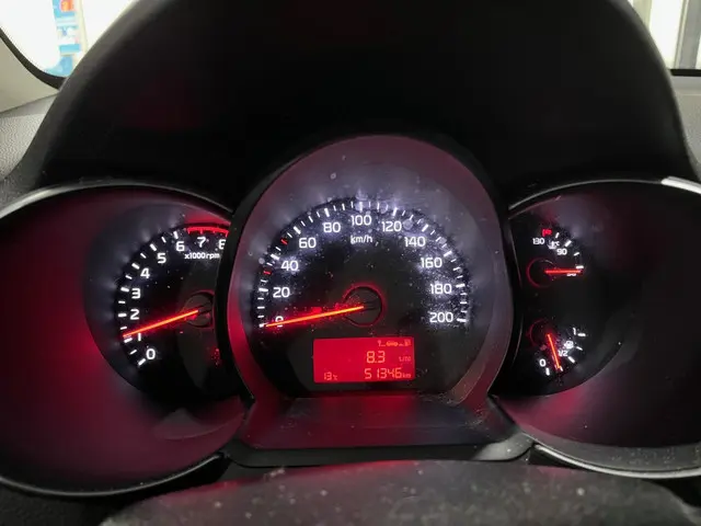 Kia Picanto 1.0 CVVT Summer Edition 2017 Benzine 9