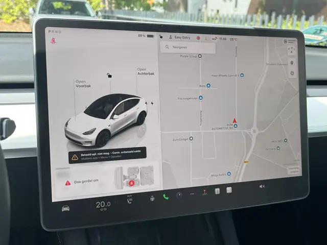 Tesla Model Y RWD 58 kWh 2022 Elektrisch 15