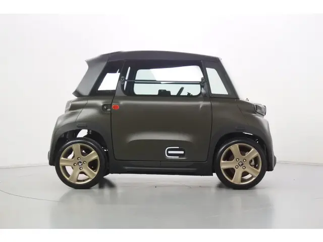 Citroën Ami Pack VDA Custom 16" 2021 Elektrisch 4