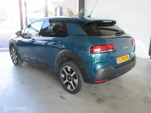 Citroën C4 Cactus 1.2 PureTech Business Plus 2020 Benzine 3