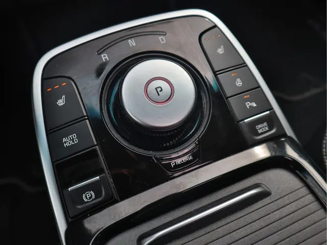 Kia e-Niro DynamicPlusLine 64 kWh 2022 Elektrisch 18