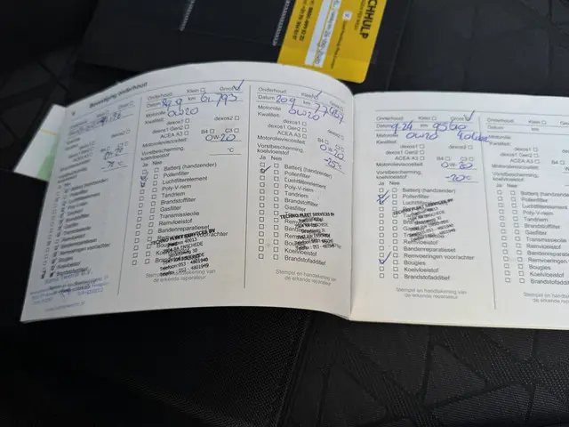 Opel Corsa 1.0 Turbo 120 Jaar Edition 2019 Benzine 15