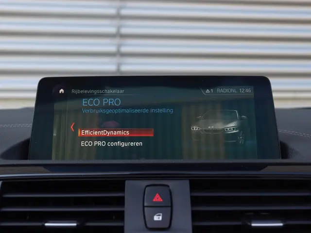 BMW 2 Serie Cabrio 220i 2019 Benzine 24