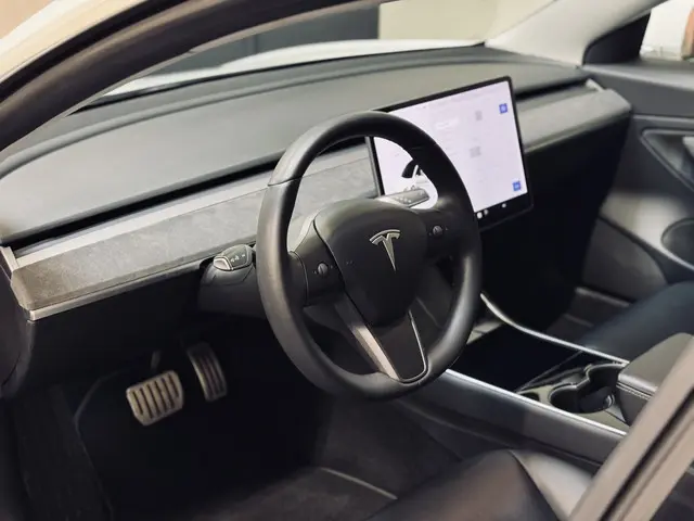 Tesla Model 3 Performance AWD 75 kWh 2019 Elektrisch 16