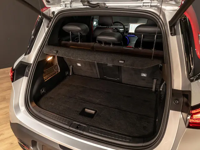 Smart #1 BRABUS 66 kWh 2025 Elektrisch 18