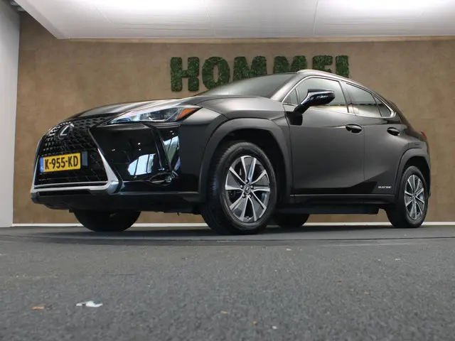 Lexus UX 300e Business 54 kWh 2020 Elektrisch 16
