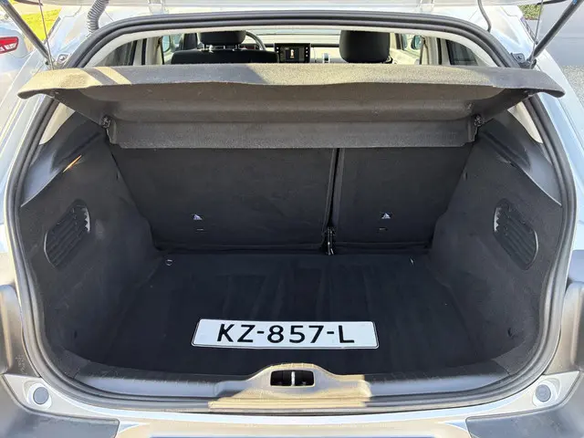 Citroën C4 Cactus 1.2 PureTech Shine 2016 Benzine 38