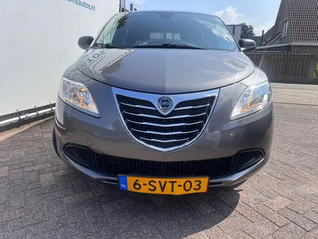 Lancia Ypsilon 0.9 TwinAir Silver + 2013 Benzine 28