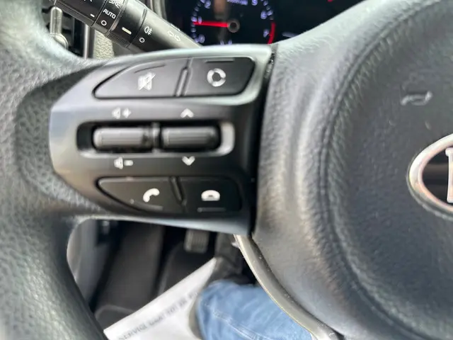 Kia Picanto 1.0 CVVT EconomyPlusLine 2019 Benzine 13