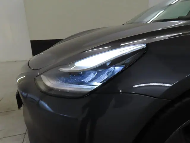 Tesla Model 3 Standard RWD Plus 60 kWh 2020 Elektrisch 14