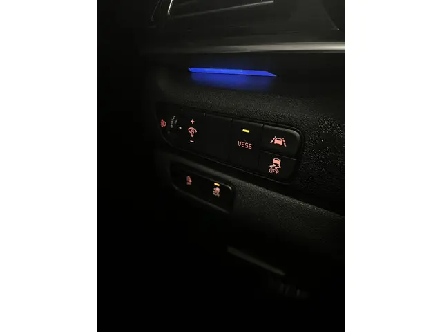 Kia e-Niro DynamicLine 64 kWh 2020 Elektrisch 32