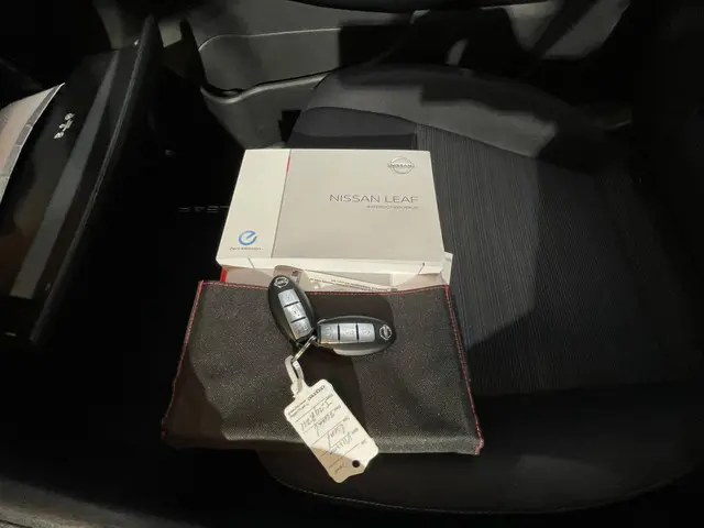 Nissan Leaf Acenta 40 kWh 2020 Elektrisch 14