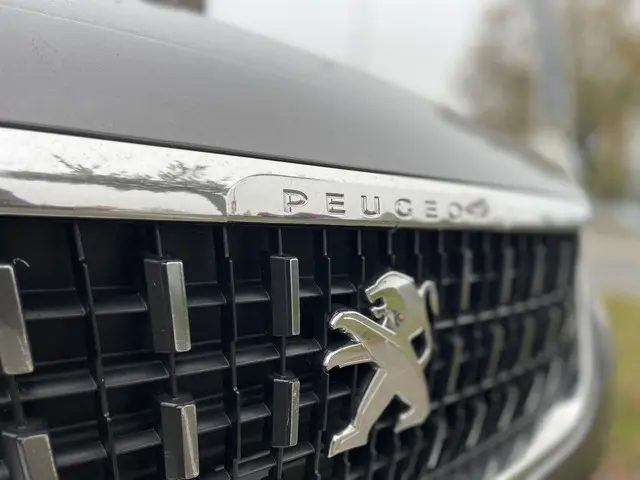 Peugeot 2008 1.2 PureTech Blue Lion 2016 Benzine 12
