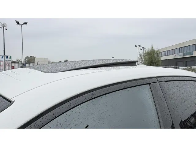 BMW 3 Serie 320i High Executive 2020 Benzine 6