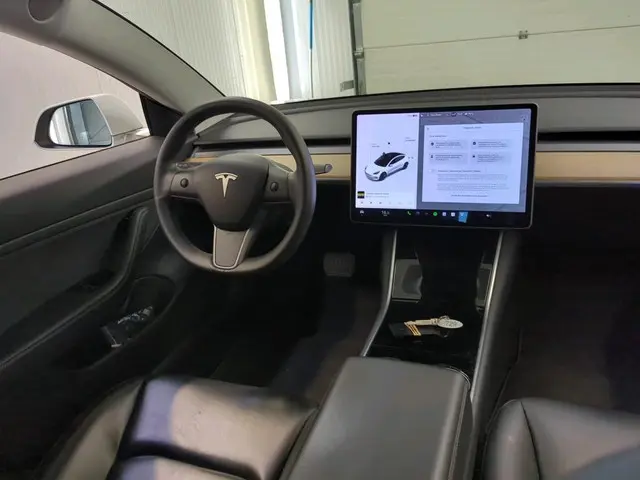 Tesla Model 3 Range Plus 2020 Elektrisch 6