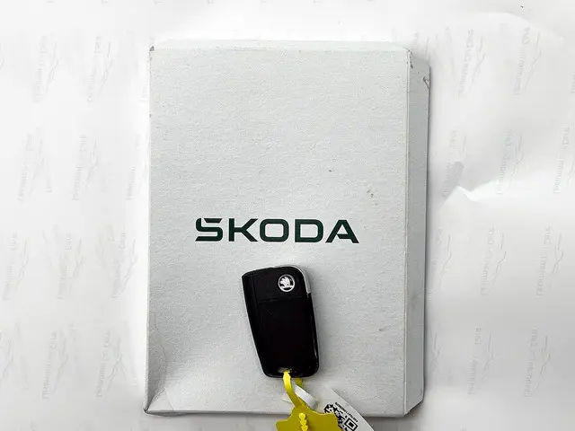 Škoda Kamiq 1.0 TSI Business Edition DSG 2025 Benzine 28