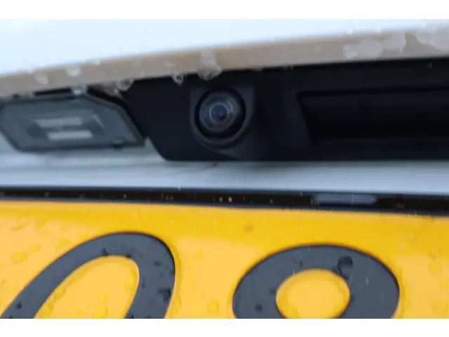 Tesla Model 3 Long Range AWD 75 kWh 2021 Elektrisch 20