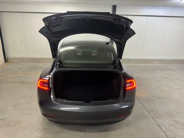 Tesla Model 3 Long Range AWD 75 kWh 2019 Elektrisch 15