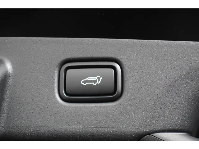 Kia Niro EV DynamicPlusLine 64.8 kWh 2024 Elektrisch 21
