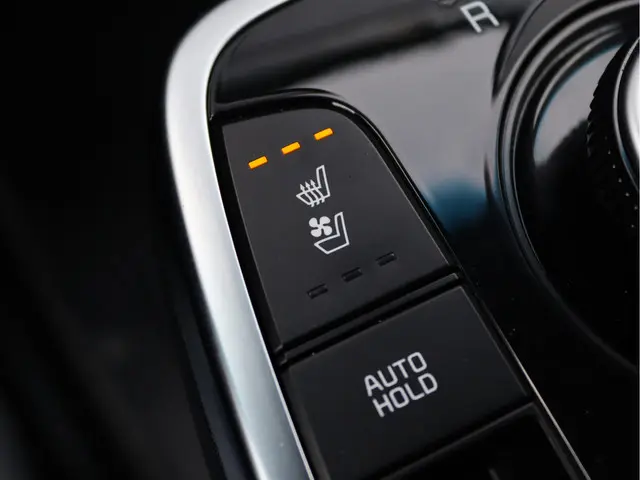 Kia e-Niro ExecutiveLine 64 kWh 2019 Elektrisch 54