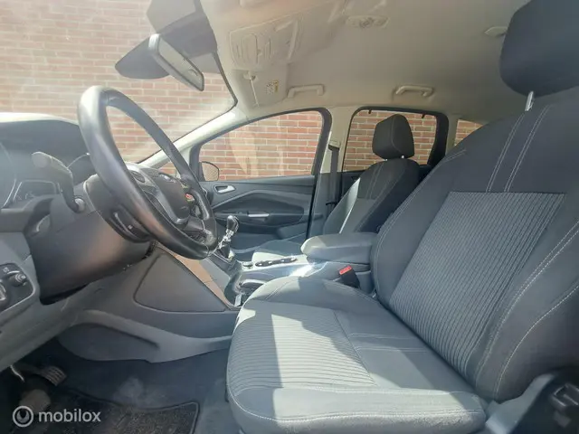 Ford C-MAX 1.6 EcoBoost Titanium/NAVI/TRKHK 2014 Benzine 15