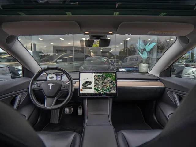 Tesla Model 3 Performance AWD 75 kWh 2019 Elektrisch 4