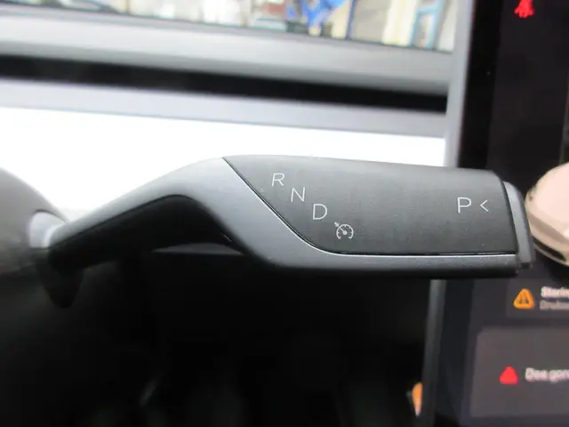 Tesla Model Y Long Range AWD 75 kWh 2021 Elektrisch 24