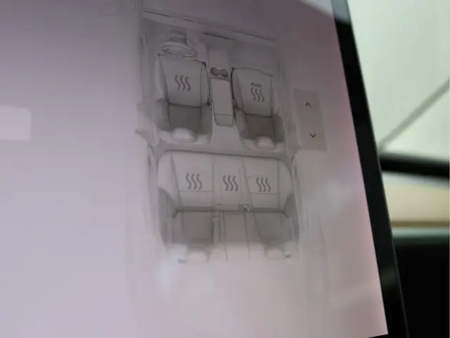 Tesla Model 3 Standard RWD Plus 60 kWh 2019 Elektrisch 41