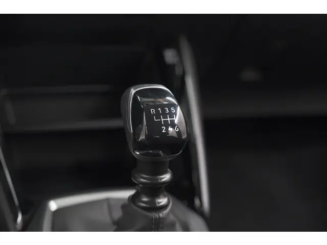 Peugeot 208 PureTech 100 Active 2024 Benzine 47