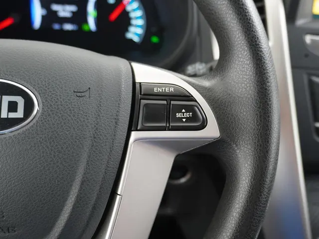 BYD ETP3 Standard 45 kWh 2023 Elektrisch 24