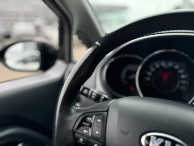 Kia Rio 1.2 CVVT World Cup Edition 2014 Benzine 47
