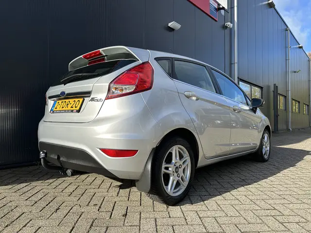 Ford Fiesta 1.0 EcoBoost Titanium | Trekhaak 2014 Benzine 7