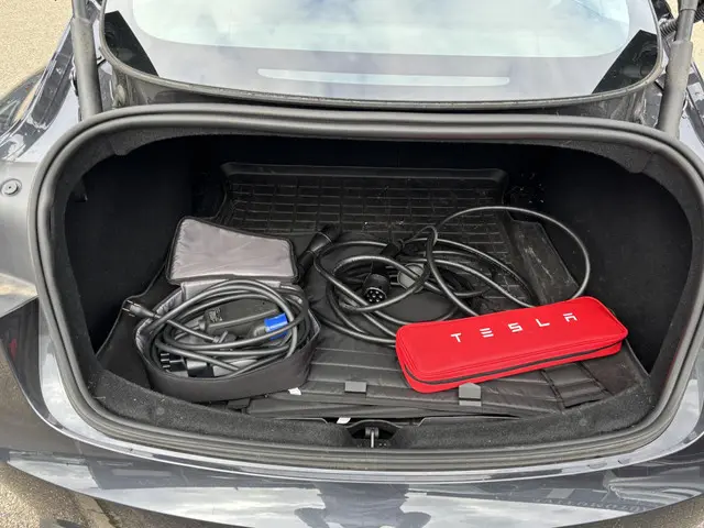 Tesla Model 3 RWD 60 kWh 2024 Elektrisch 7