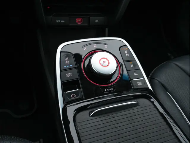 Kia e-Niro ExecutiveLine 64 kWh 2020 Elektrisch 12