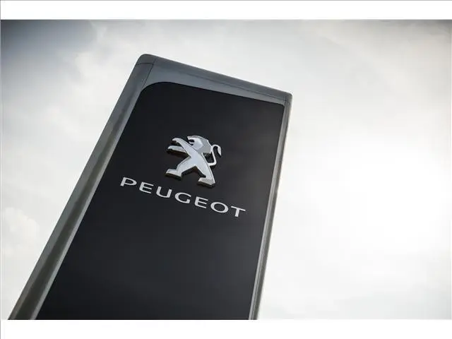 Peugeot 208 1.2 Blue Lion 2018 Benzine 41