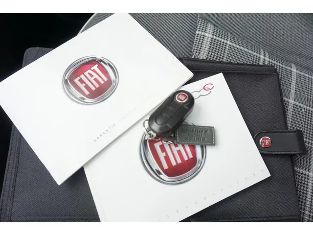 Fiat 500 1.2 Lounge 2017 Benzine 24