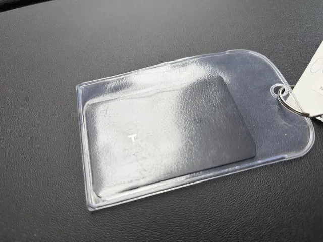 Tesla Model 3 Long Range AWD 75 kWh 2019 Elektrisch 16