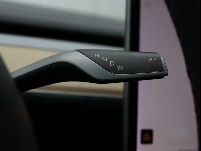 Tesla Model 3 Standard RWD Plus 60 kWh 2019 Elektrisch 31