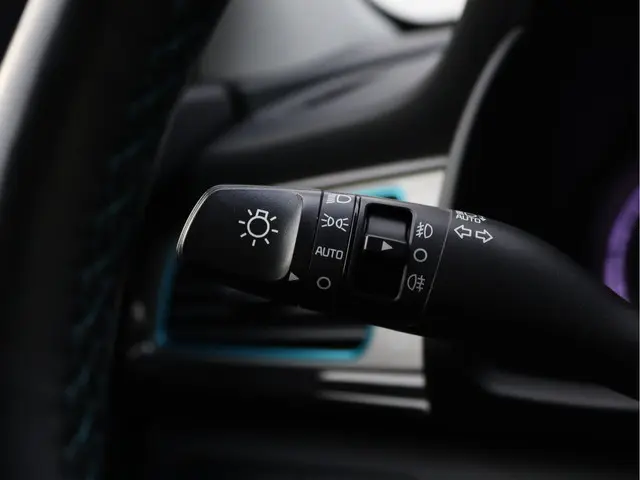 Kia e-Niro ExecutiveLine 64 kWh 2019 Elektrisch 34