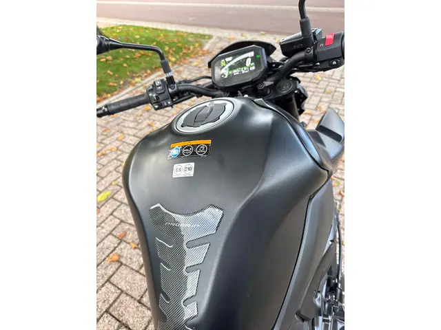 Kawasaki Z900 Naked bike 2020 Benzine 9