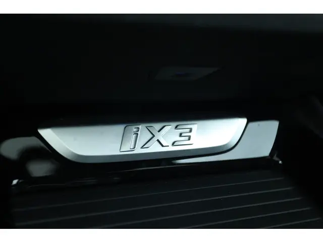 BMW iX3 EXECUTIVE 80 KWH 2021 Elektrisch 33